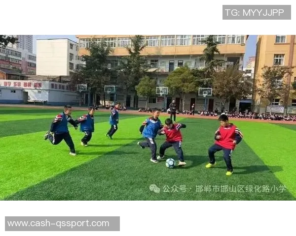 绿茵场上的诗篇足球与梦想交织的华美乐章